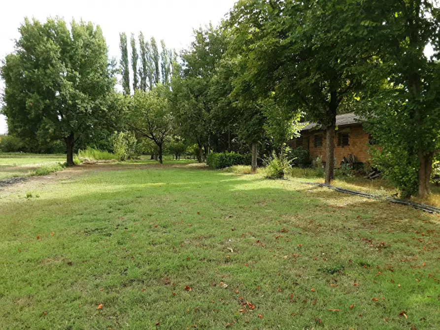 Immagine 11 di Rustico / casale in vendita  in Via Sott'Argine Motta a Carpi
