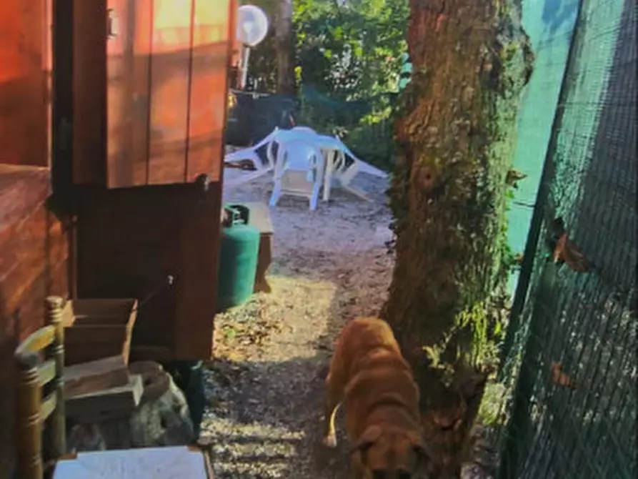 Immagine 8 di Rustico / casale in vendita  in Via Piane, 491 a Lumarzo