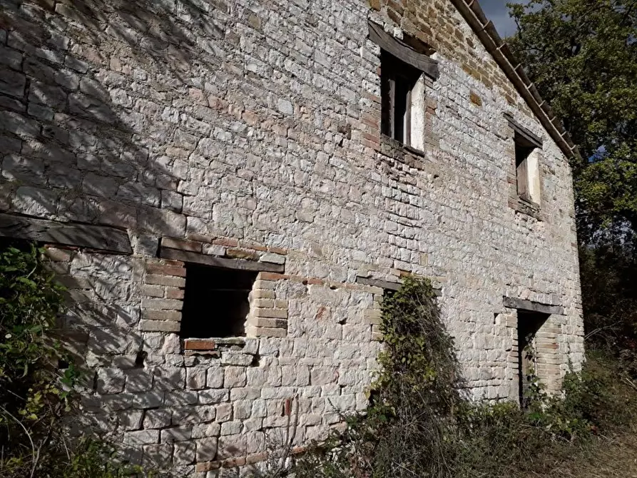 Immagine 2 di Rustico / casale in vendita  in Frazione Prosano, 10 a Arcevia