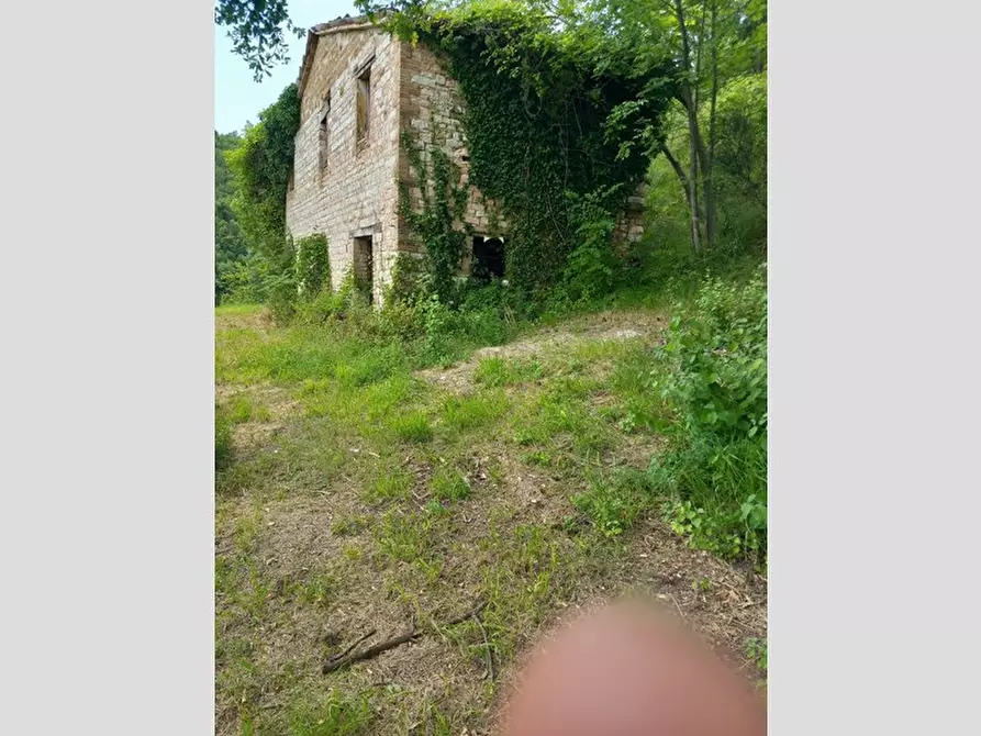 Immagine 3 di Rustico / casale in vendita  in Frazione Prosano, 10 a Arcevia