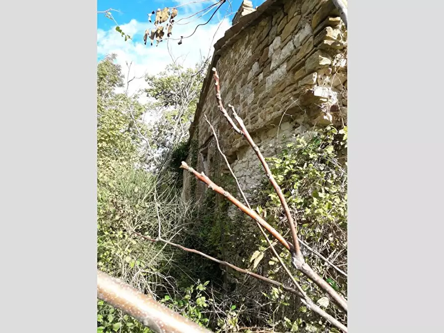 Immagine 6 di Rustico / casale in vendita  in Frazione Prosano, 10 a Arcevia