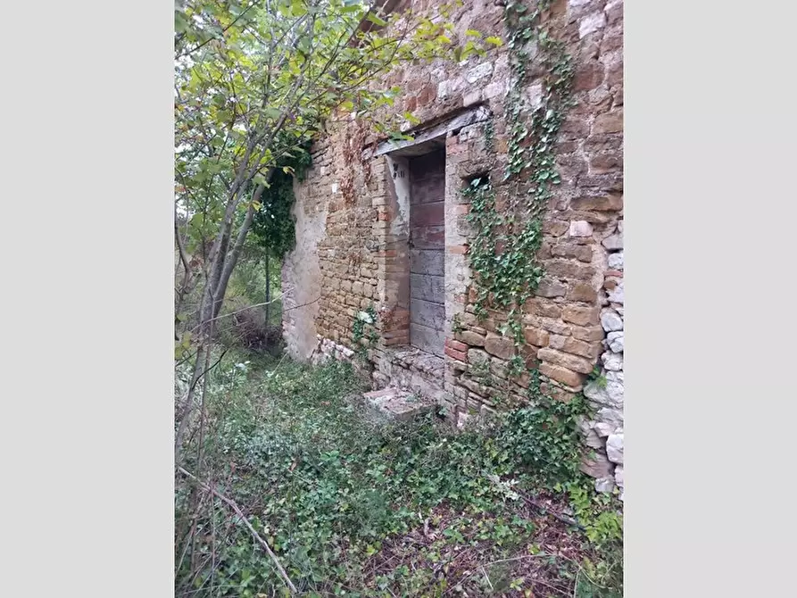 Immagine 7 di Rustico / casale in vendita  in Frazione Prosano, 10 a Arcevia