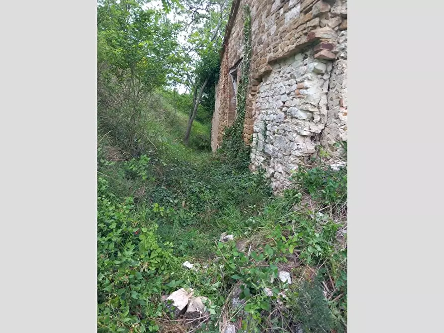 Immagine 11 di Rustico / casale in vendita  in Frazione Prosano, 10 a Arcevia