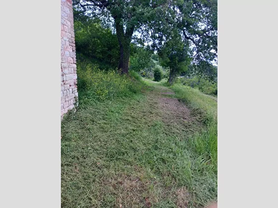 Immagine 13 di Rustico / casale in vendita  in Frazione Prosano, 10 a Arcevia