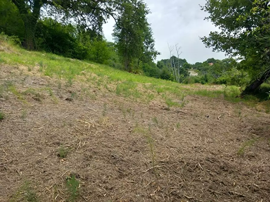 Immagine 14 di Rustico / casale in vendita  in Frazione Prosano, 10 a Arcevia