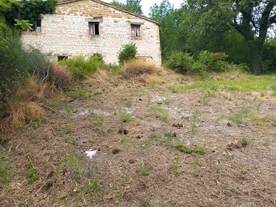 Immagine 16 di Rustico / casale in vendita  in Frazione Prosano, 10 a Arcevia