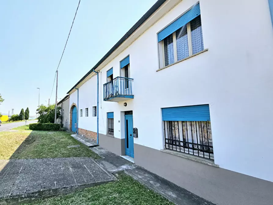 Immagine 17 di Villetta a schiera in vendita  in VIA LUPPIA ALBERI a Montagnana