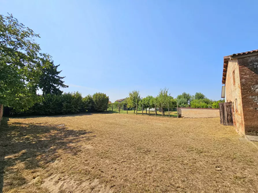 Immagine 20 di Villetta a schiera in vendita  in VIA LUPPIA ALBERI a Montagnana