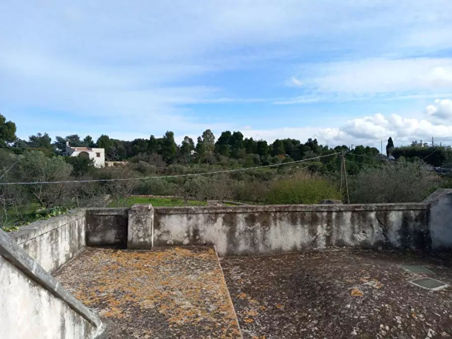 Immagine 22 di Villa in vendita  in C.da Corvetta a Ostuni