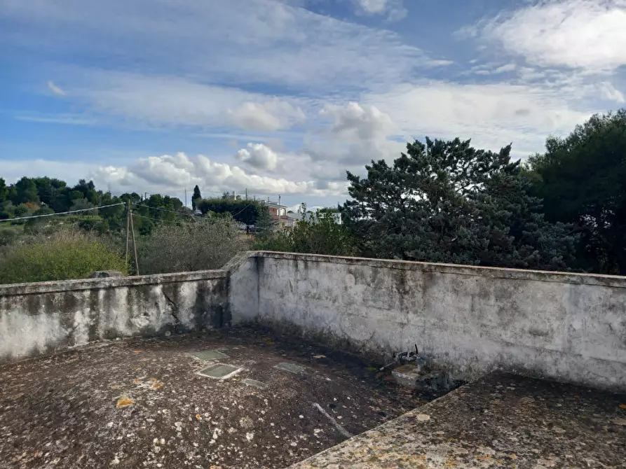 Immagine 23 di Villa in vendita  in C.da Corvetta a Ostuni