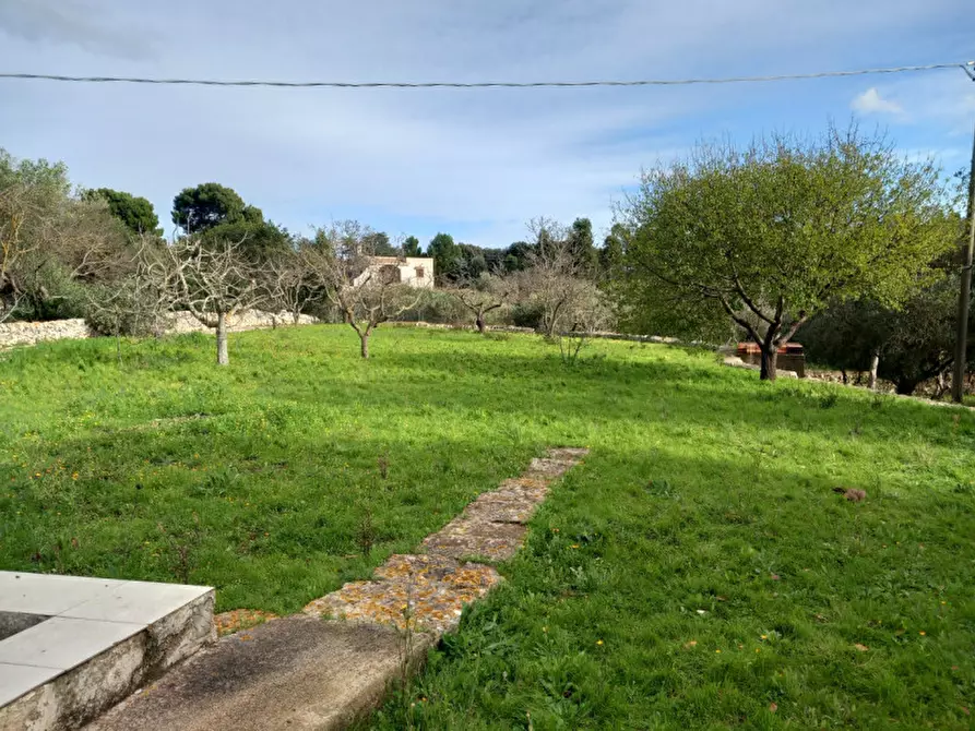 Immagine 35 di Villa in vendita  in C.da Corvetta a Ostuni