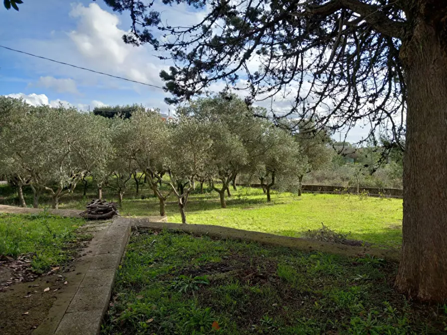 Immagine 39 di Villa in vendita  in C.da Corvetta a Ostuni