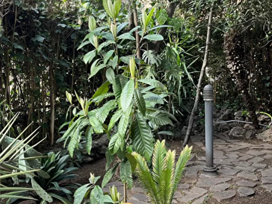 Immagine 32 di Appartamento in vendita  in via carpegna a Roma