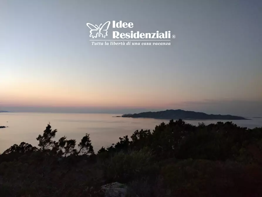 Immagine 12 di Villa in vendita  in barrabisa a Palau