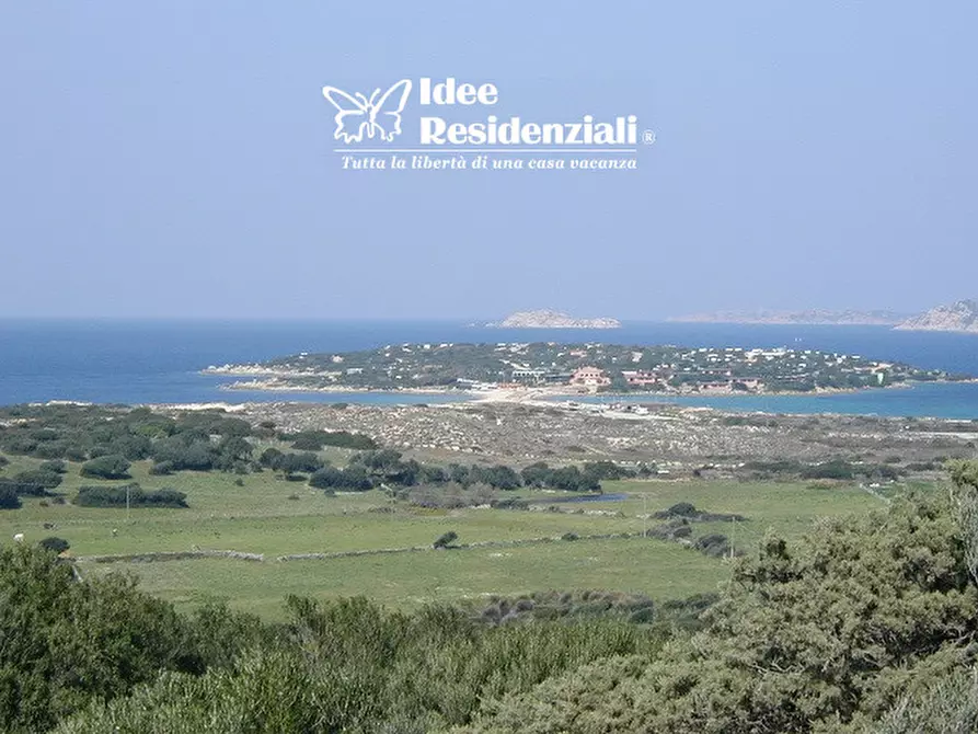 Immagine 5 di Villa in vendita  in barrabisa a Palau