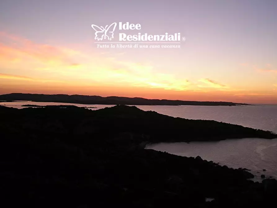 Immagine 15 di Villa in vendita  in barrabisa a Palau