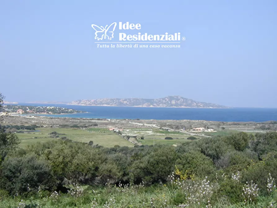 Immagine 11 di Villa in vendita  in barrabisa a Palau