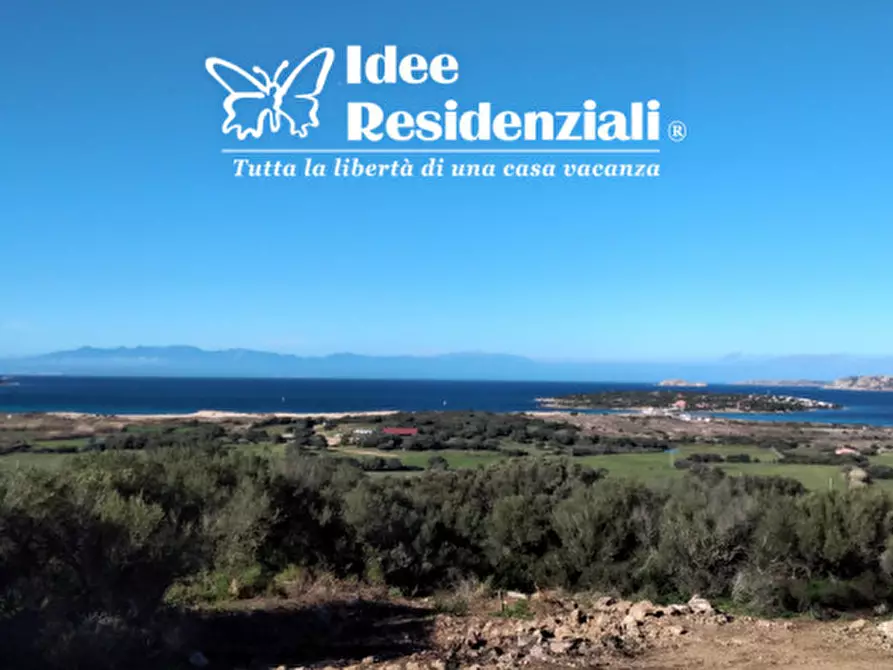 Immagine 15 di Villa in vendita  in barrabisa a Palau