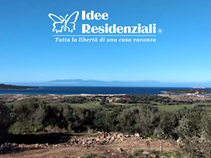 Immagine 17 di Villa in vendita  in barrabisa a Palau