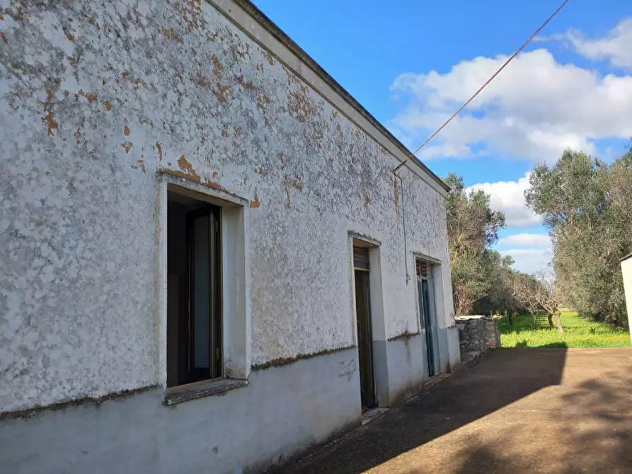 Immagine 3 di Rustico / casale in vendita  in C.da San Giacomo a San Vito Dei Normanni
