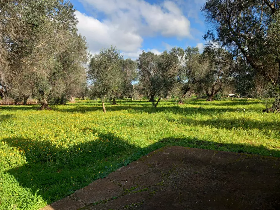 Immagine 11 di Rustico / casale in vendita  in C.da San Giacomo a San Vito Dei Normanni