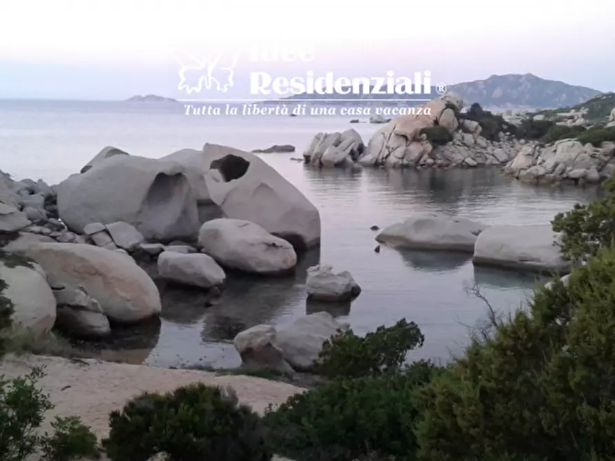 Immagine 10 di Villa in vendita  in barrabisa a Palau