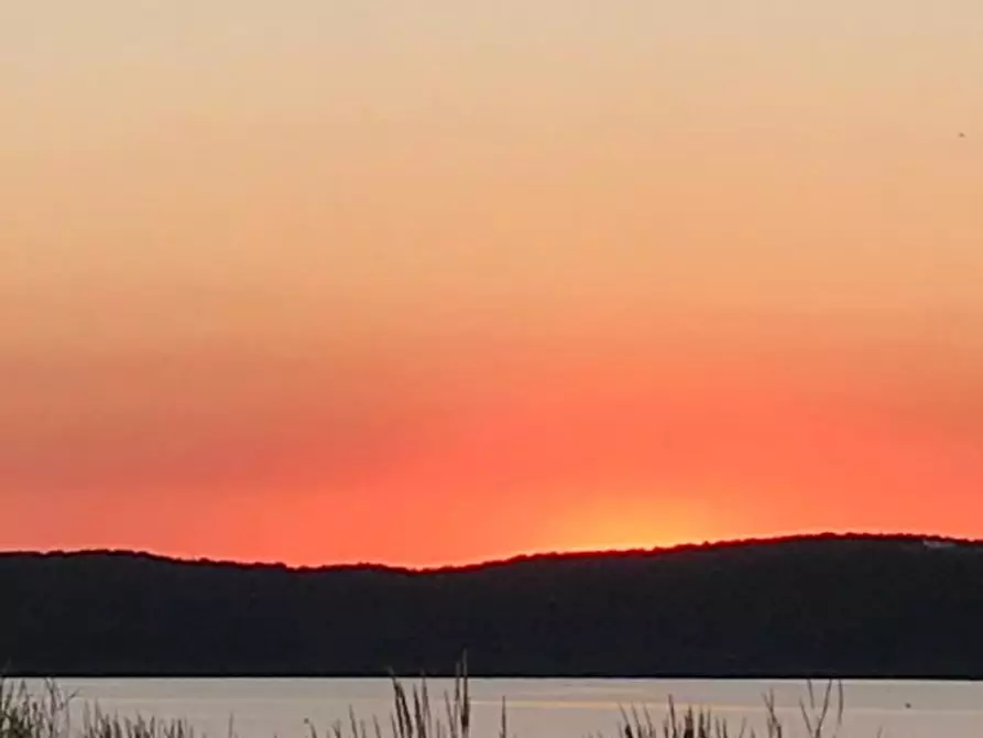 Immagine 12 di Villa in vendita  in barrabisa a Palau