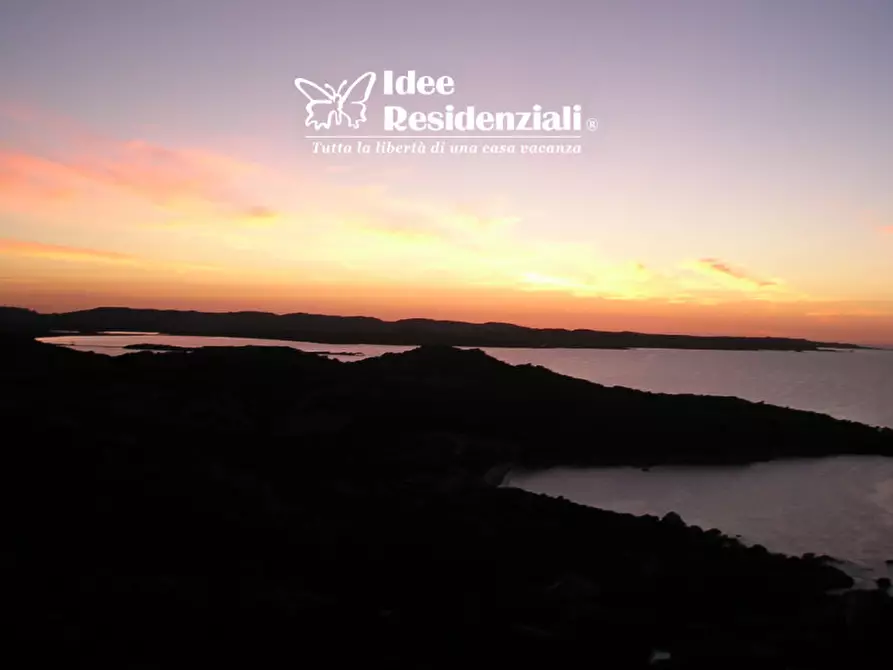 Immagine 15 di Villa in vendita  in barrabisa a Palau