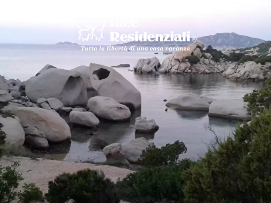 Immagine 16 di Villa in vendita  in barrabisa a Palau