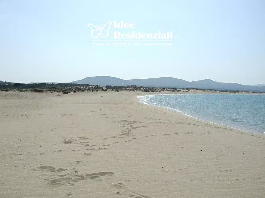 Immagine 17 di Villa in vendita  in barrabisa a Palau