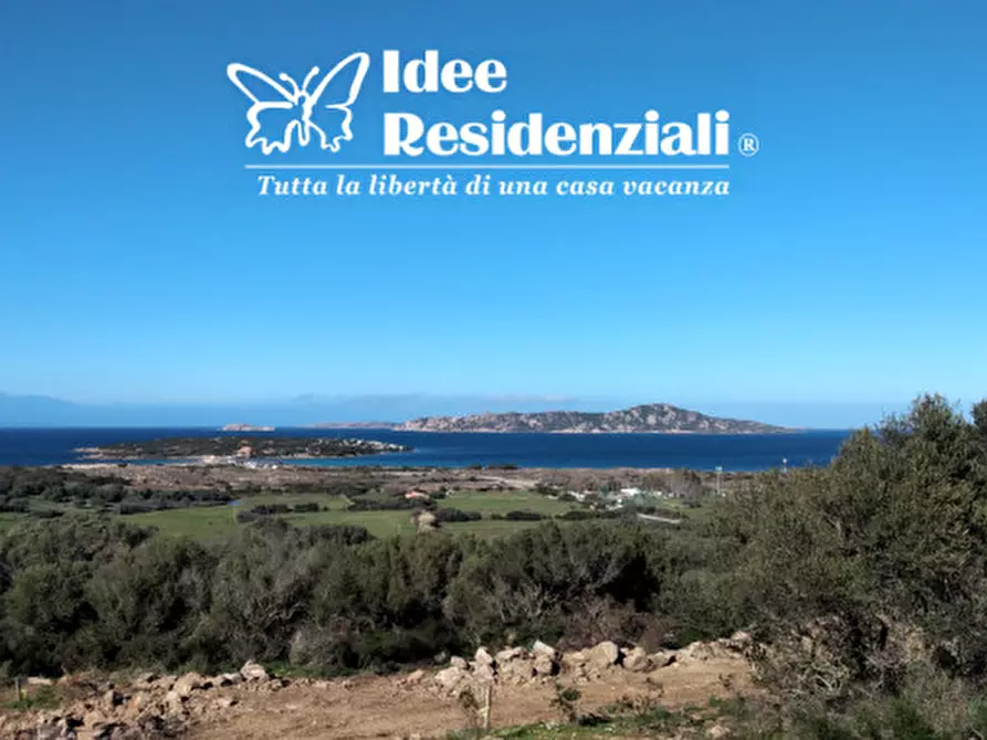 Immagine 21 di Villa in vendita  in barrabisa a Palau