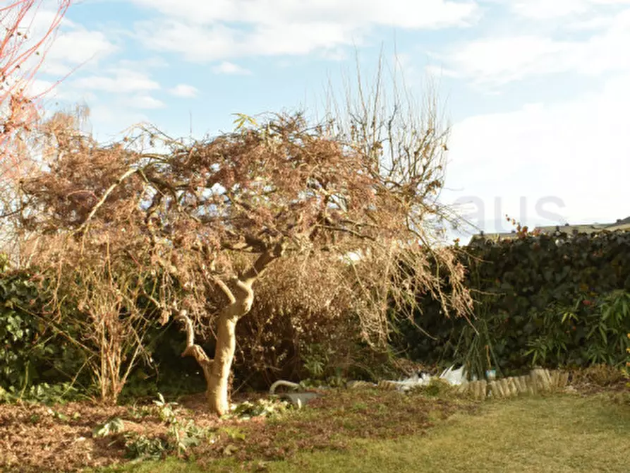 Immagine 1 di Villetta a schiera in vendita  in Via Stazione a Terlano .Terlan.