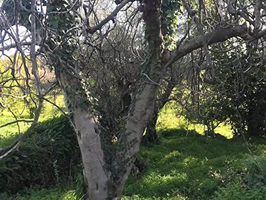 mansarda in vendita a Santa Venerina