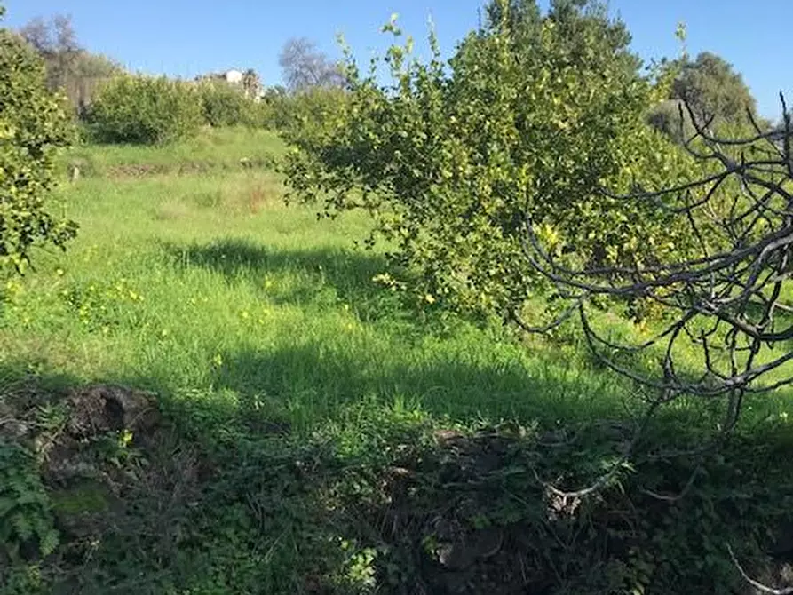 Immagine 2 di Terreno in vendita  in Santa Venerina a Santa Venerina