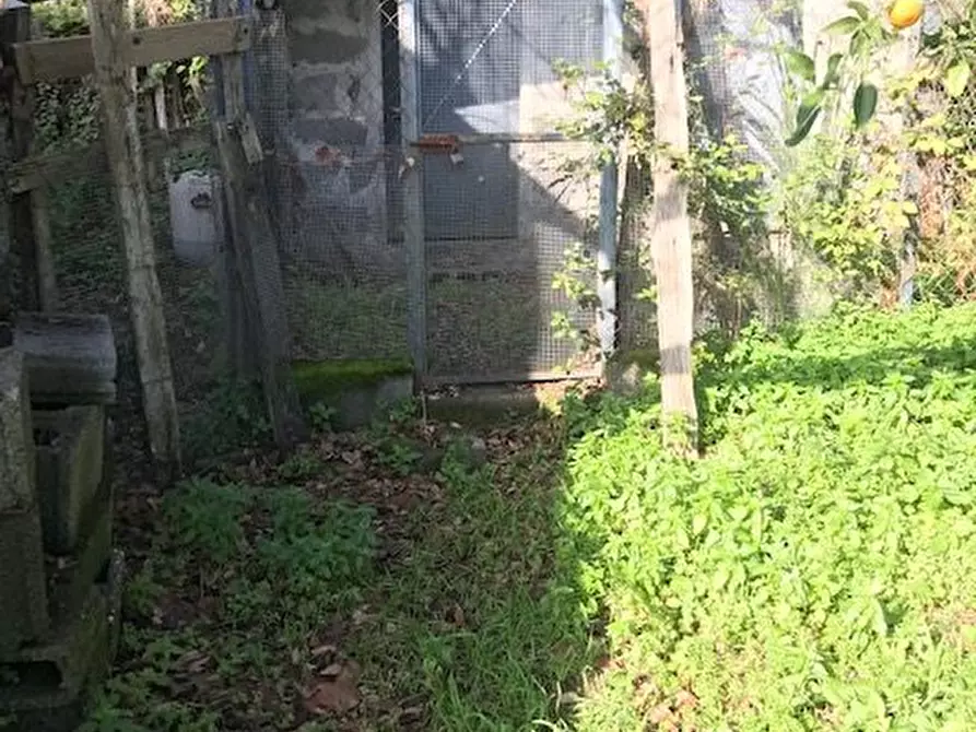 Immagine 5 di Terreno in vendita  in Santa Venerina a Santa Venerina