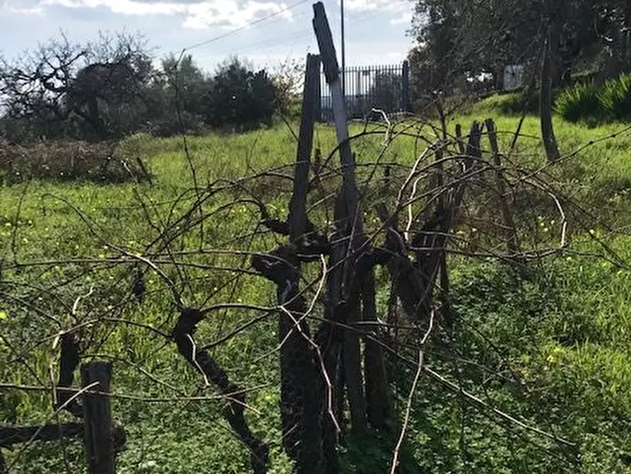 Immagine 7 di Terreno in vendita  in Santa Venerina a Santa Venerina