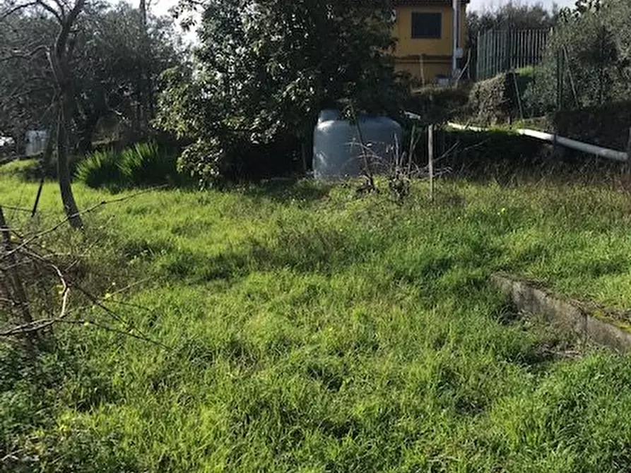 Immagine 8 di Terreno in vendita  in Santa Venerina a Santa Venerina