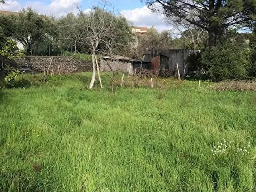 Immagine 9 di Terreno in vendita  in Santa Venerina a Santa Venerina