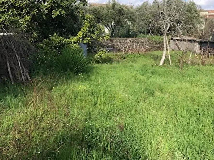 Immagine 10 di Terreno in vendita  in Santa Venerina a Santa Venerina