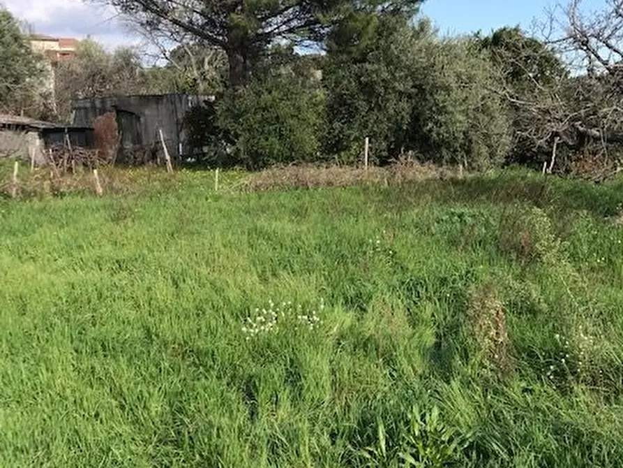 Immagine 11 di Terreno in vendita  in Santa Venerina a Santa Venerina