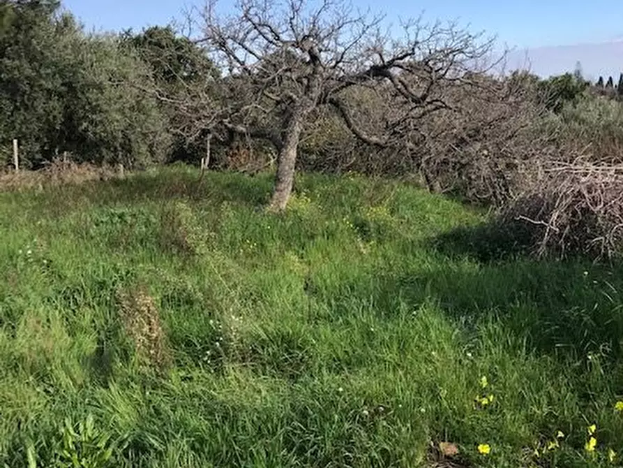 Immagine 12 di Terreno in vendita  in Santa Venerina a Santa Venerina