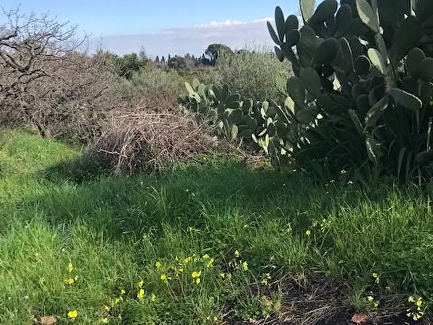 Immagine 13 di Terreno in vendita  in Santa Venerina a Santa Venerina