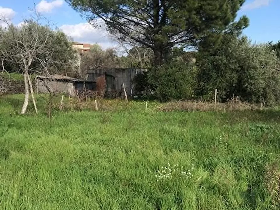 Immagine 15 di Terreno in vendita  in Santa Venerina a Santa Venerina