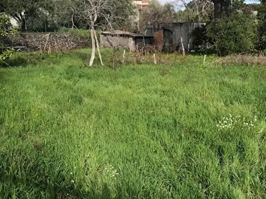 Immagine 16 di Terreno in vendita  in Santa Venerina a Santa Venerina