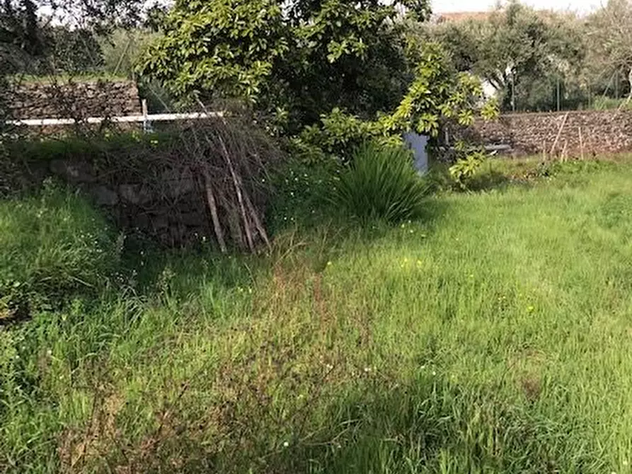 Immagine 17 di Terreno in vendita  in Santa Venerina a Santa Venerina