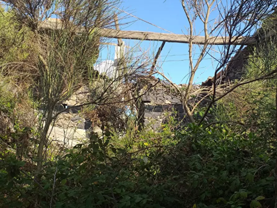 Immagine 3 di Terreno in vendita  in Via Taverna, 23 a Mascali