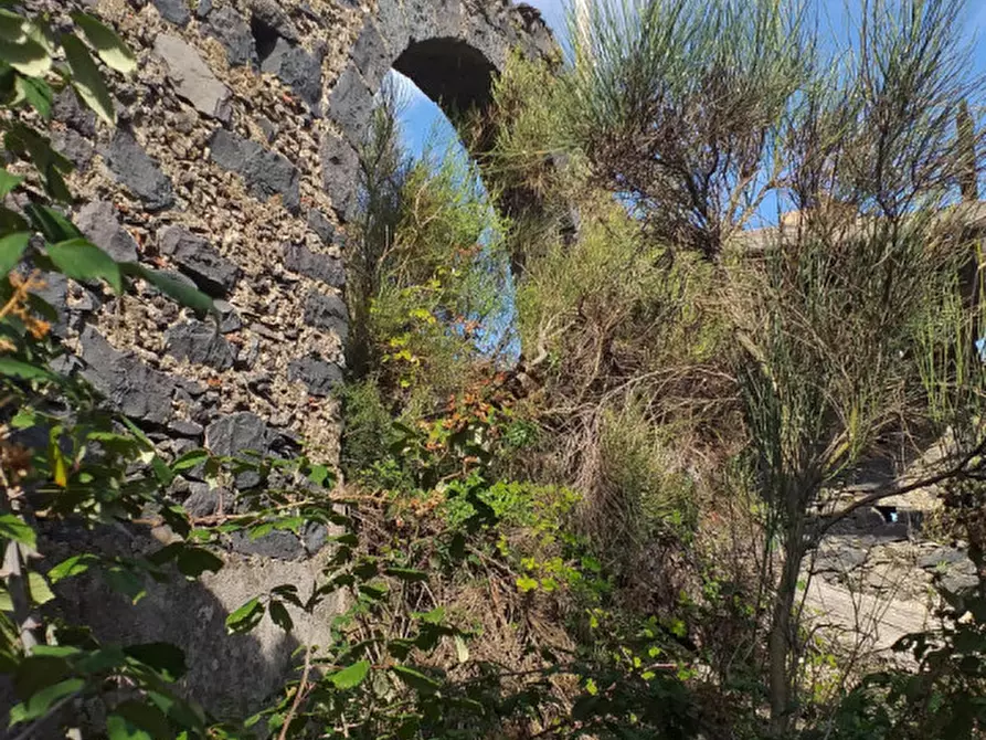 Immagine 4 di Terreno in vendita  in Via Taverna, 23 a Mascali