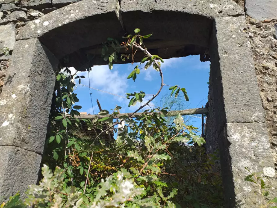 Immagine 5 di Terreno in vendita  in Via Taverna, 23 a Mascali