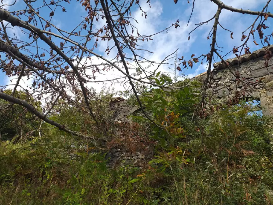 Immagine 6 di Terreno in vendita  in Via Taverna, 23 a Mascali