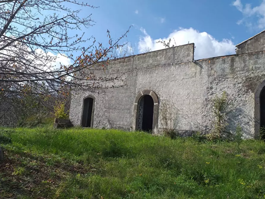 Immagine 12 di Terreno in vendita  in Via Taverna, 23 a Mascali